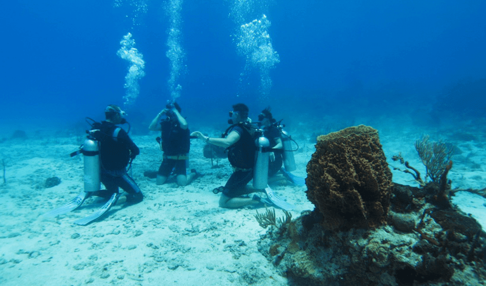 padi_dive_master_phu_quoc